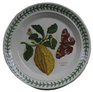 Portmerion Botanical Garden