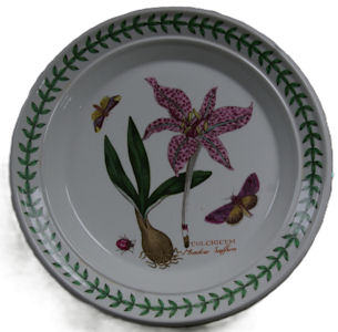 Portmerion Botanical Garden