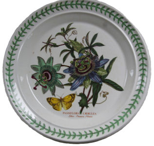 Portmerion Botanical Garden