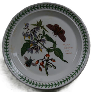 Portmerion Botanical Garden